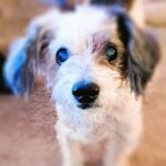 Profile photo of Dianne