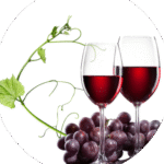 Profile photo of Nat