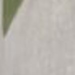 Profile photo of Rajesh Vasudevan