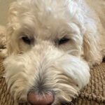 Profile photo of JOHN