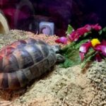 Profile photo of Laura