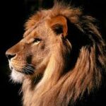 Profile photo of Tadeo