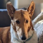 Profile photo of Elisabeth Hoelzl